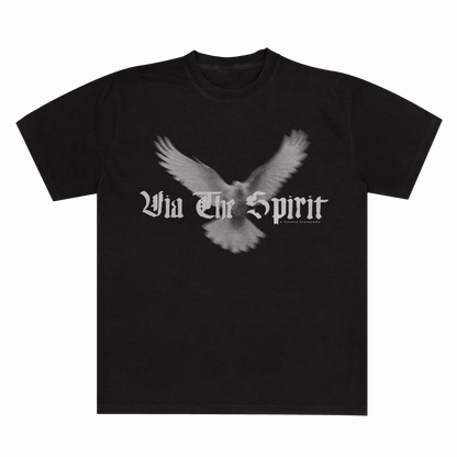 VIA THE SPIRIT - Dove T