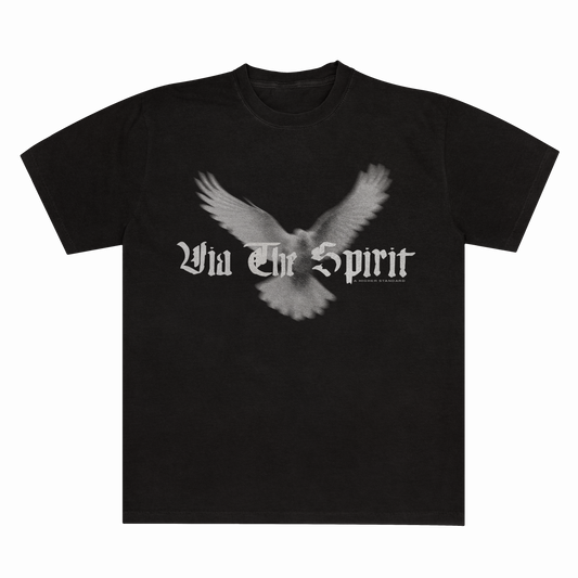 VIA THE SPIRIT - Dove T
